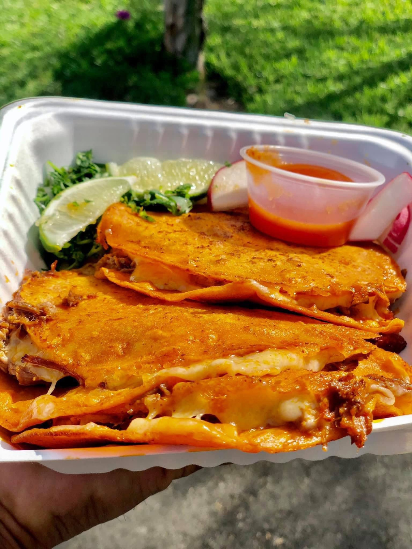 Quesabirrias doradas rellenas de birria y queso derretido